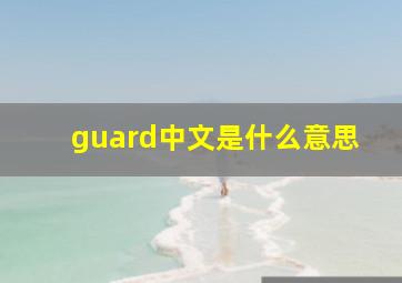 guard中文是什么意思