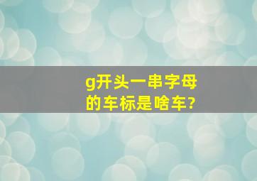 g开头一串字母的车标是啥车?