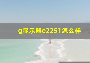 g显示器e2251怎么样