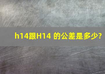 h14跟H14 的公差是多少?