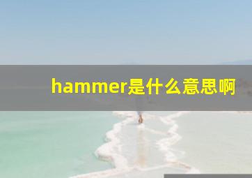 hammer是什么意思啊