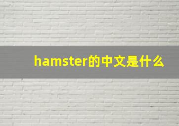 hamster的中文是什么