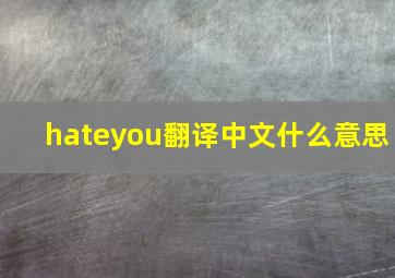 hateyou翻译中文什么意思