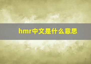 hmr中文是什么意思