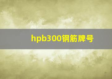 hpb300钢筋牌号