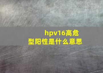 hpv16高危型阳性是什么意思