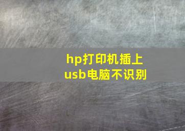 hp打印机插上usb电脑不识别