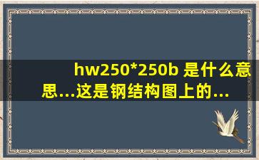 hw250*250b 是什么意思...这是钢结构图上的....拜托拜托