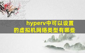 hyperv中可以设置的虚拟机网络类型有哪些