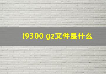 i9300 gz文件是什么