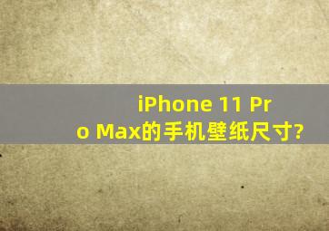 iPhone 11 Pro Max的手机壁纸尺寸?