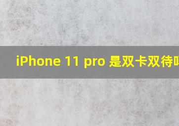 iPhone 11 pro 是双卡双待吗?