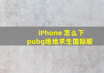 iPhone 怎么下pubg绝地求生国际服