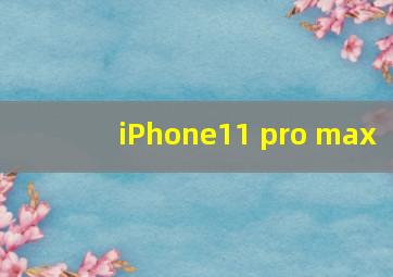 iPhone11 pro max