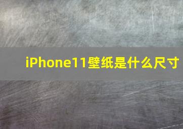 iPhone11壁纸是什么尺寸(