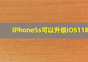 iPhone5s可以升级iOS11吗?