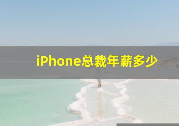 iPhone总裁年薪多少