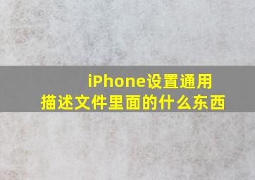 iPhone设置通用描述文件里面的什么东西