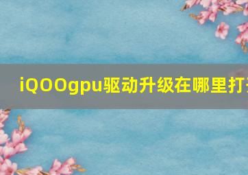 iQOOgpu驱动升级在哪里打开