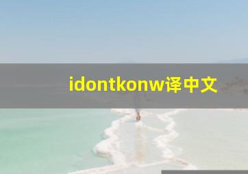idontkonw译中文