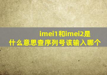 imei1和imei2是什么意思,查序列号该输入哪个