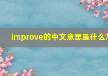 improve的中文意思是什么?