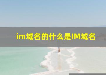 im域名的什么是IM域名