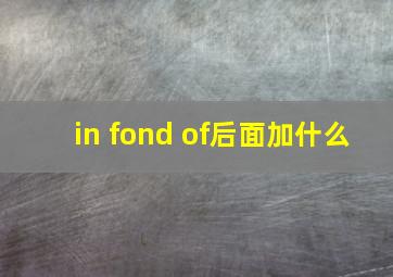 in fond of后面加什么