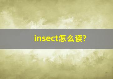 insect怎么读?