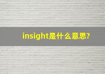 insight是什么意思?