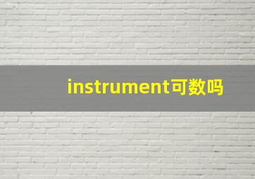 instrument可数吗