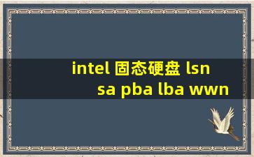 intel 固态硬盘 lsn sa pba lba wwn 分别什么意思