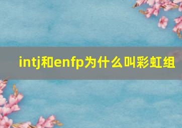 intj和enfp为什么叫彩虹组