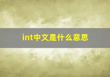int中文是什么意思