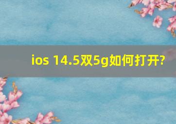 ios 14.5双5g如何打开?
