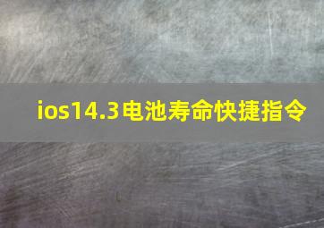 ios14.3电池寿命快捷指令(