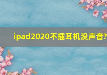 ipad2020不插耳机没声音?