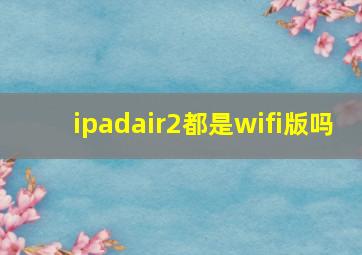 ipadair2都是wifi版吗