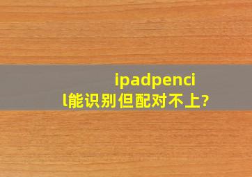 ipadpencil能识别但配对不上?