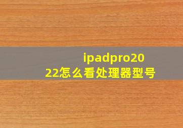 ipadpro2022怎么看处理器型号