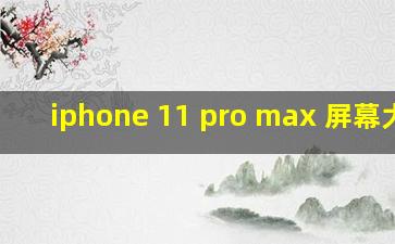 iphone 11 pro max 屏幕大小