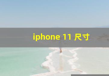 iphone 11 尺寸