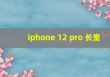 iphone 12 pro 长宽