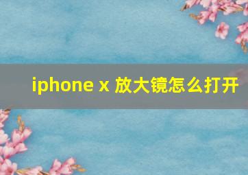 iphone x 放大镜怎么打开