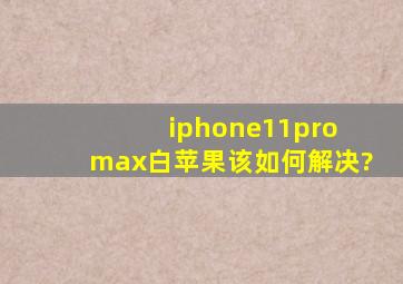 iphone11pro max白苹果该如何解决?