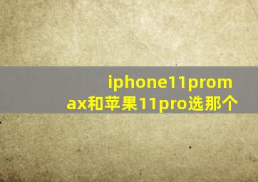 iphone11promax和苹果11pro选那个