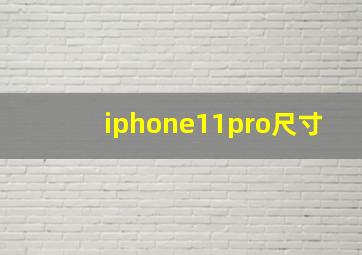 iphone11pro尺寸