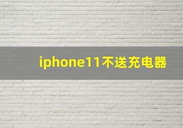 iphone11不送充电器