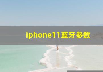 iphone11蓝牙参数(