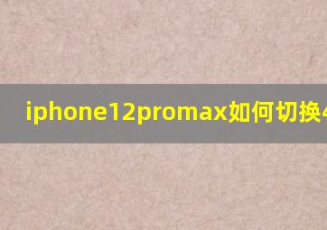 iphone12promax如何切换4g和5g?